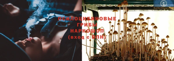 бутират Алзамай